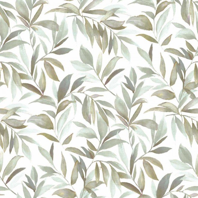 2000 PARATO COLLEZIONE RIO