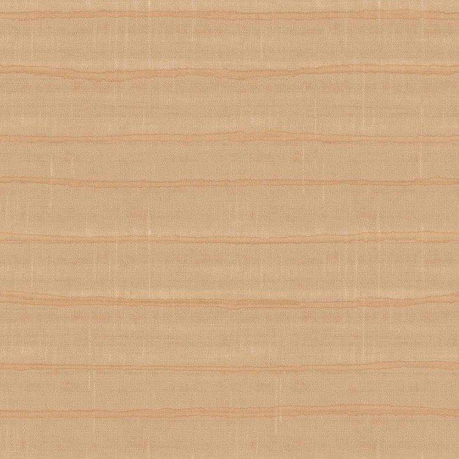 32434 PARATO COLLEZIONE VITALS