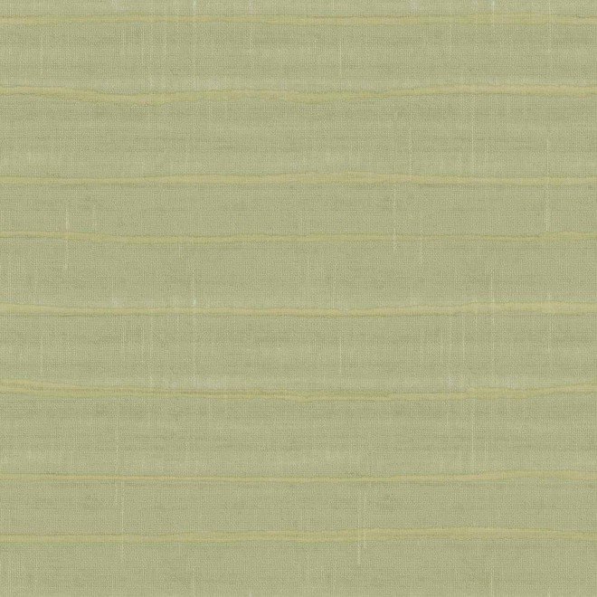 32435 PARATO COLLEZIONE VITALS